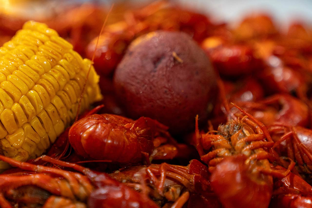 boiled corn on the cob and boiled red potato on a bed of boiled crawfish