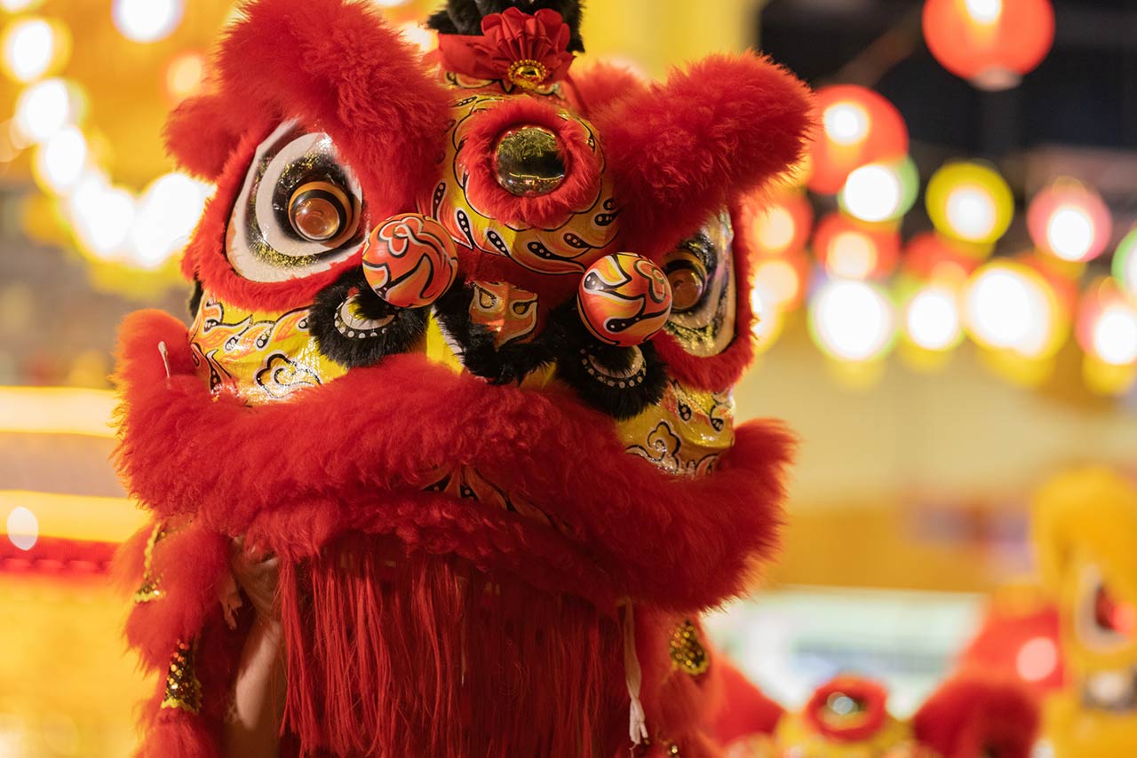 Performers mimic a lion's movements in a lion costume to bring good luck and fortune in Chinese New Year