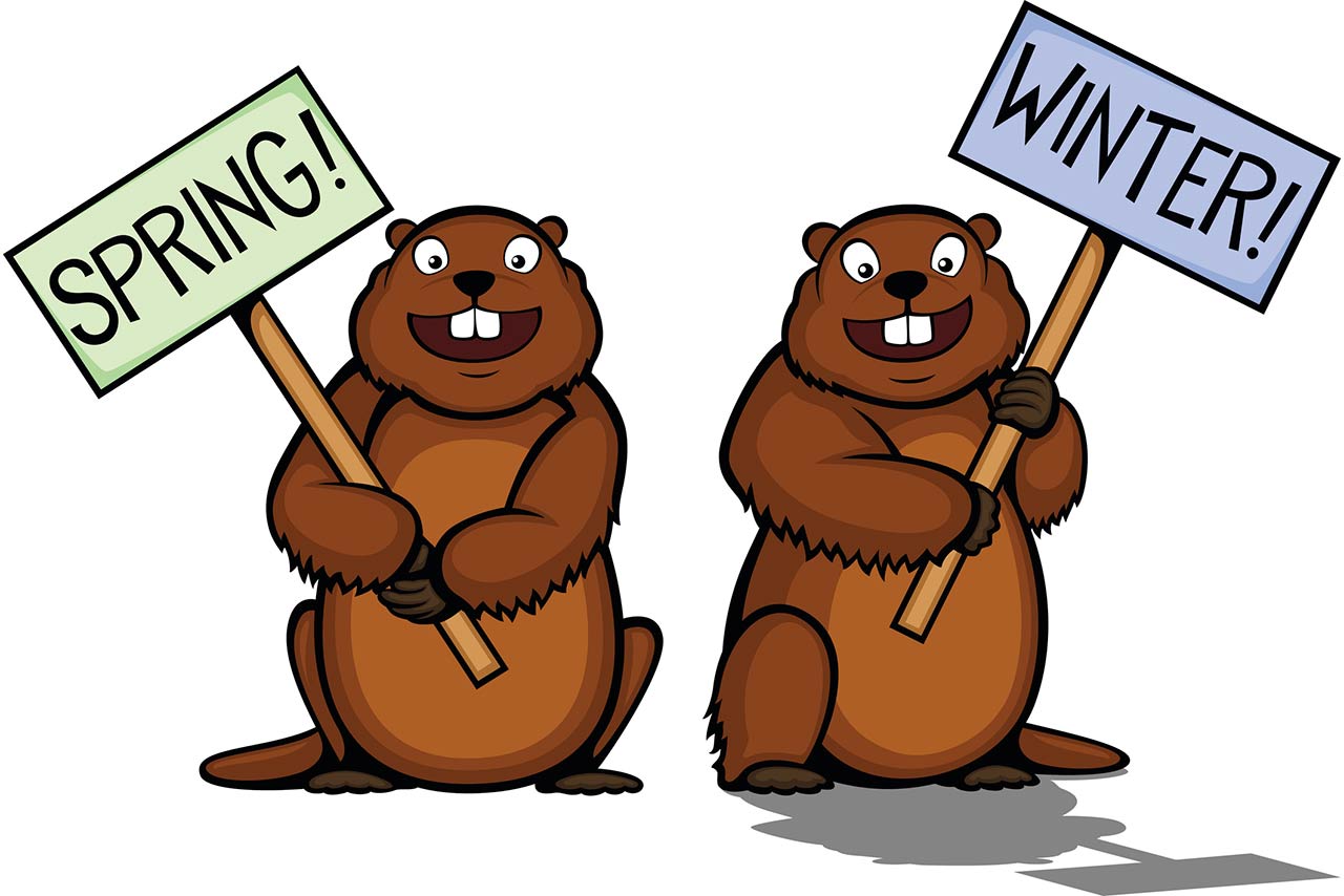 vector illustration of two cartoon groundhogs, one seeing his shadow and lobbying for winter, one hoping for spring